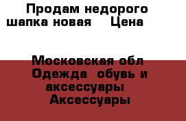 Продам недорого (шапка новая) › Цена ­ 500 - Московская обл. Одежда, обувь и аксессуары » Аксессуары   